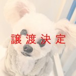 おこめ