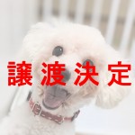 パール
