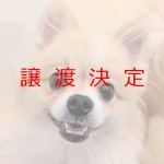メリッサ
